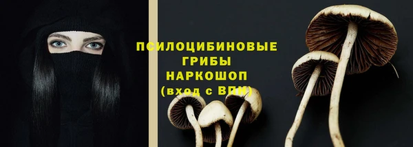 мяу мяу мука Балабаново
